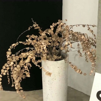 磴口FurryQQ群介绍